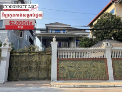 ផ្ទះវីឡាកូនកាត់សម្រាប់ជួលនៅទឹកថ្លា / Link House for rent at Toeuk Thla